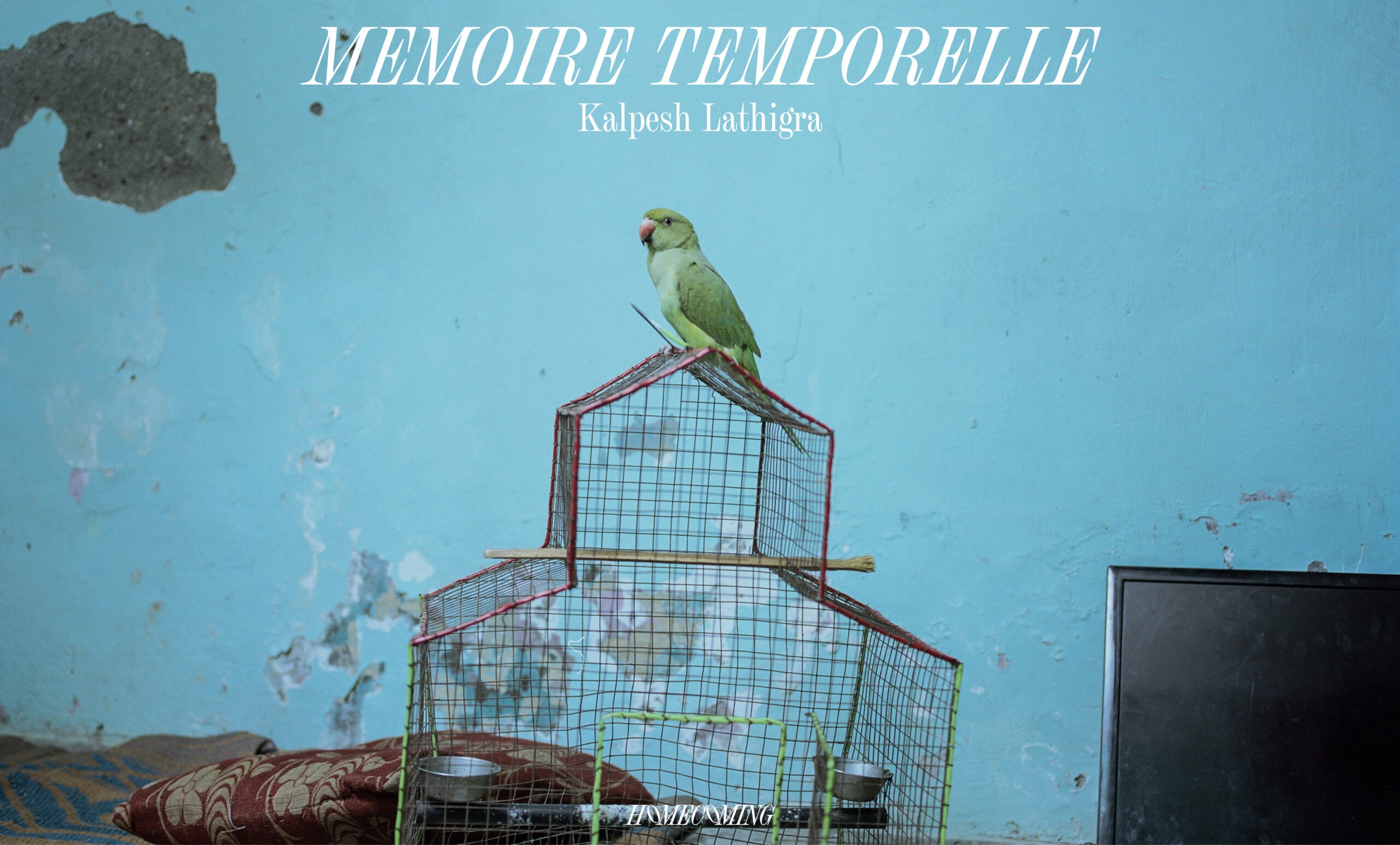 Kalpesh Lathigra, Memoire Temporelle ENG