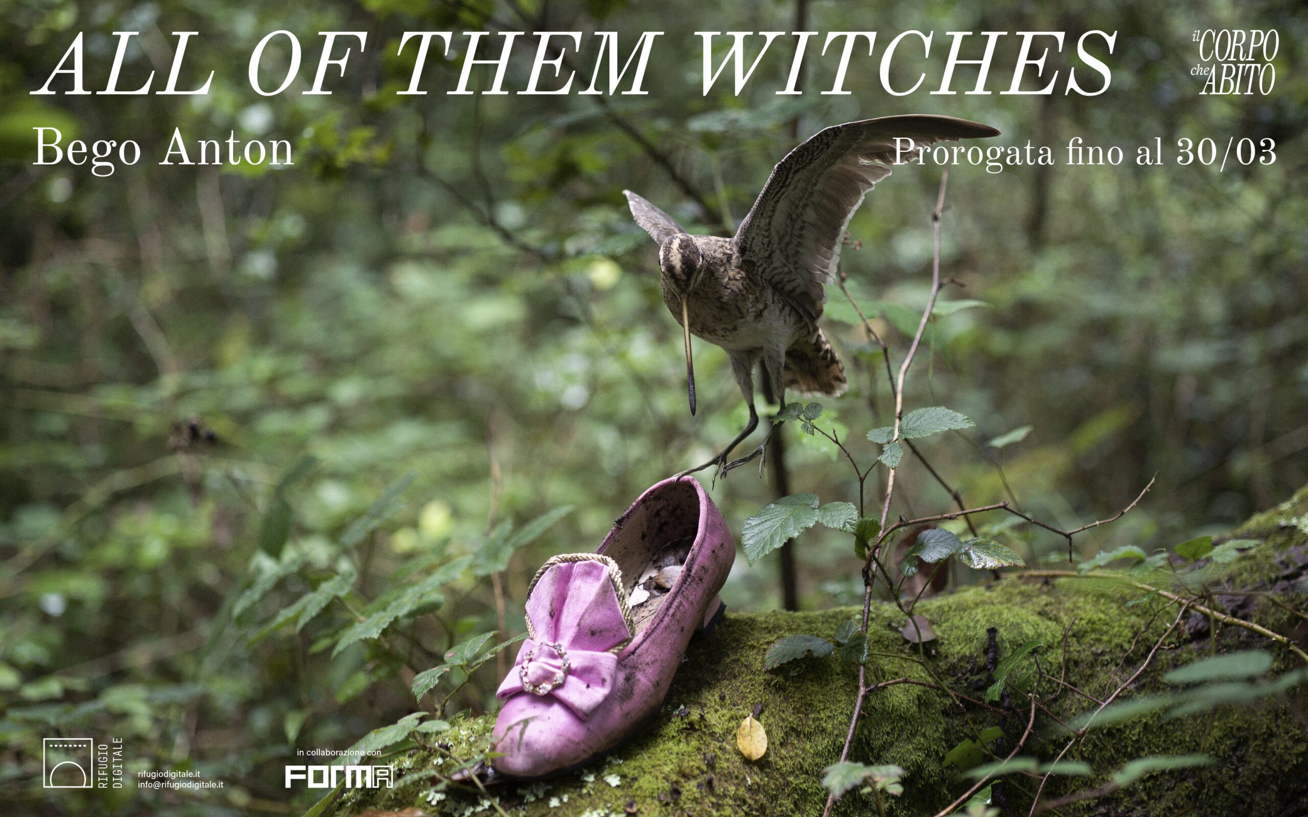 Bego Anton. All of Them Witches