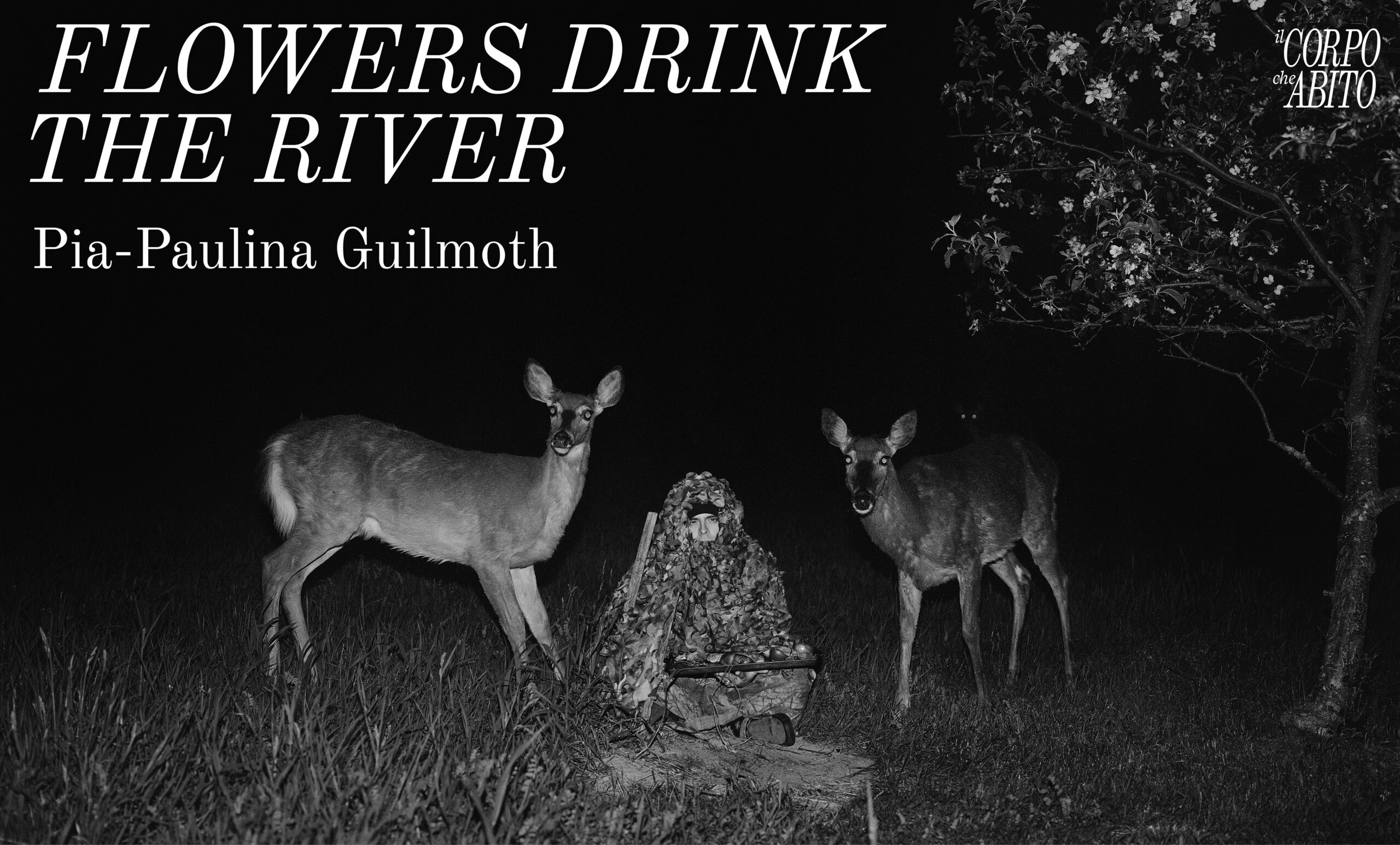 Pia-Paulina Guilmoth. Flowers Drink The River