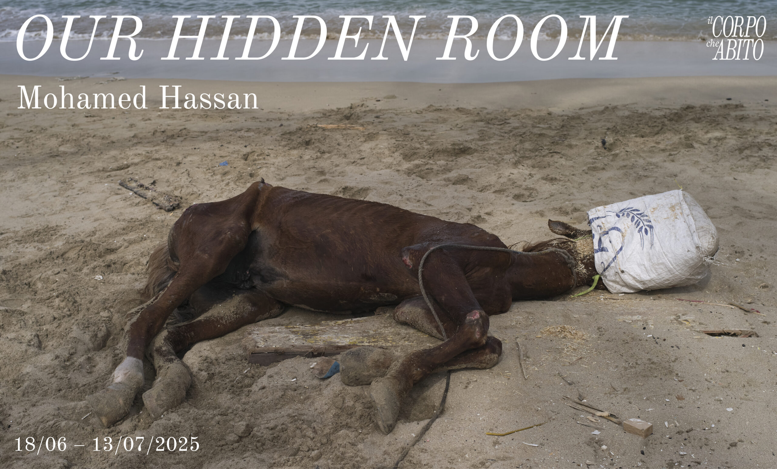 Mohamed Hassan. Our Hidden Room